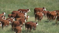 HD01145A_030, Nebraska, United States