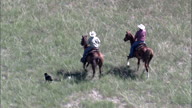Driving Cattle Across The Grassland