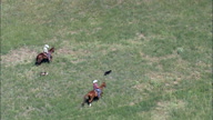 Driving Cattle Across The Grassland
