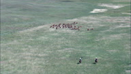 HD01145A_041,