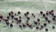 HD01145A_042,