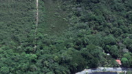 Sito Roberto Burle Marx