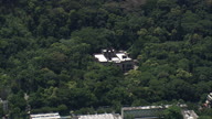 Rio De Janeiro Botanical Garden